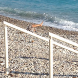 Eingeschottertes Strandbein