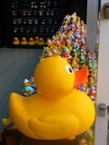 Aufgeblasene Badeente